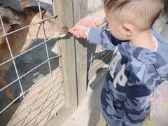 -前小桔亲子创意农场·草莓采摘·露营烧烤