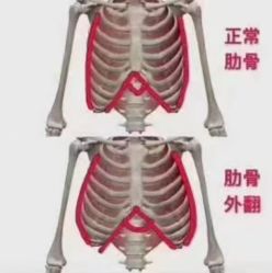 -昕孕瑜伽·孕妇瑜伽·产后修复