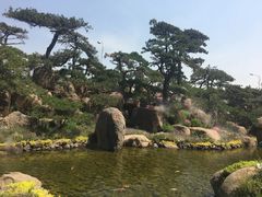 -罗红摄影艺术馆