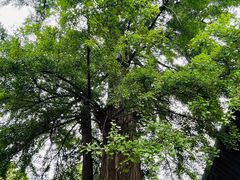 -野三坡清泉山风景区