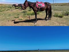 -青海湖国家重点风景名胜区