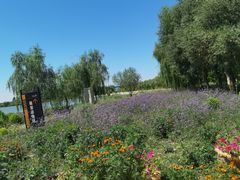 -杜氏旅游度假区