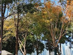 -西北湖绿化广场