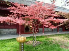 -罔极寺
