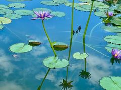 -国家植物园南园