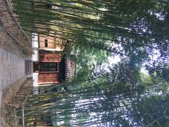 android_upload_pic-焦山风景区