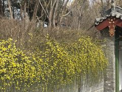 -迎泽公园