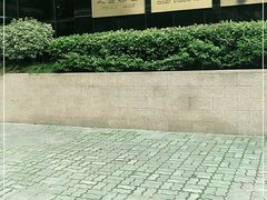-上海报业大厦