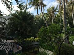 -三亚珠江南田温泉度假区