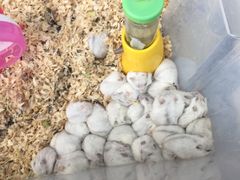 -天安数码城会所游泳馆