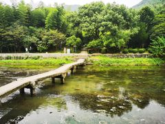 -兰亭风景区