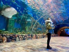 -华夏文旅海洋公园