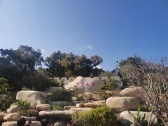 -乌山风景区