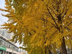 -花腰餐吧Bistro烧烤 傣味(传媒大学店)