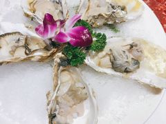 -董家湾重庆老火锅(嘉华店)