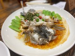 藤椒蒸细笋壳鱼-猪肉婆私房菜(容桂总店)