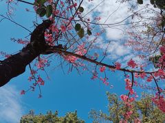 -抚仙湖禄充风景区