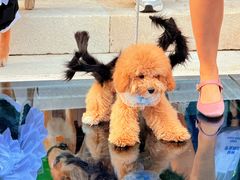 -华谊兄弟（长沙）电影小镇