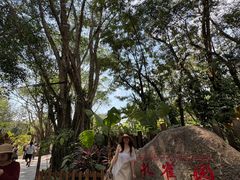 -西双版纳傣族园