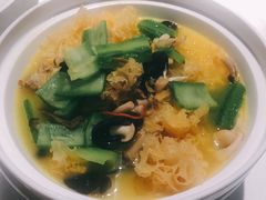 金耳煨节瓜-麟1929(外滩店)