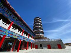 -金塔沙漠胡杨林景区