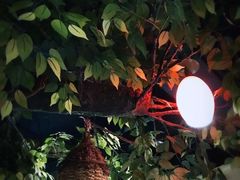 -深圳少年儿童图书馆