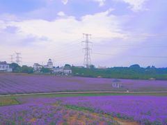 -紫颐香薰山谷景区