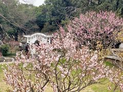 -无锡梅园公园