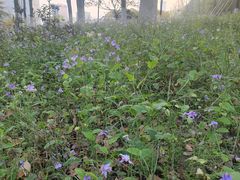 -白塘生态植物园