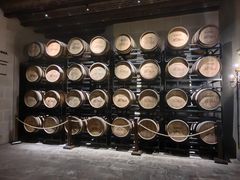 -龙谕酒庄