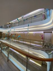 -爱弥儿月子中心(省医院店)