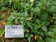 -广州神农草堂中医药博物馆