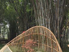 -望江楼公园