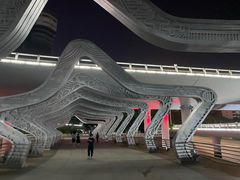 -演武大桥观景平台