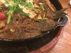 -老板恋上鱼(环山路店)