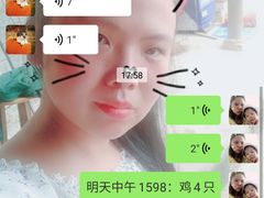 -大京袁记烤全羊农家(大京水库店)