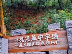 -黄埔油麻山森林公园