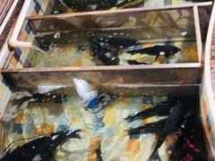-缘福乡村铁锅炖民宿(八达岭店)