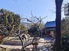 -有喜胶东小馆(太申祥和店)