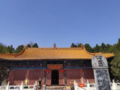 -中原大佛景区