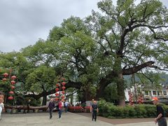 -新安江山水画廊风景区