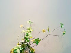 -赣湘院子·竹林院子餐厅•山野赣菜田园湘菜(国贸大望路店)