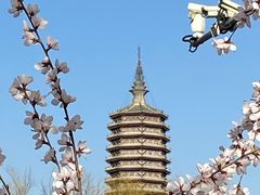 -西海子公园