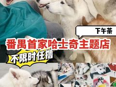 -星多哈·狗咖·拼豆·咖啡