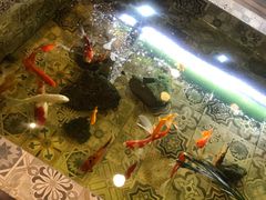 -Siam泰餐厅(水上公园店)