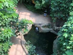 -南山植物园