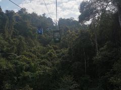 -野象谷景区