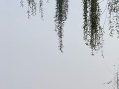 -中国农业博物馆