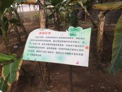 -万源龙顺度假庄园生态观光园