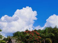 -西双版纳傣族园